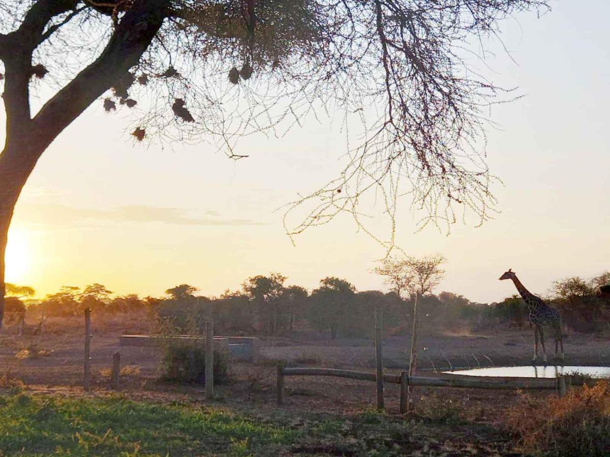 Oilepo Amboseli Hotel Rift Valley Luaran gambar