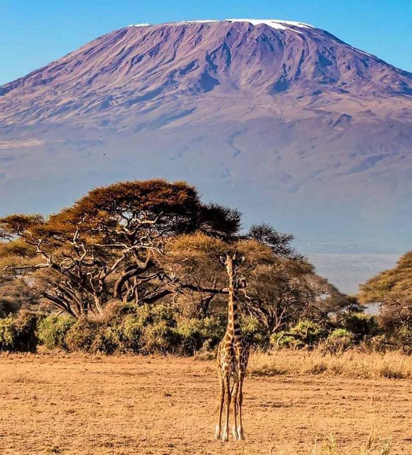 Oilepo Amboseli Hotel Rift Valley Luaran gambar